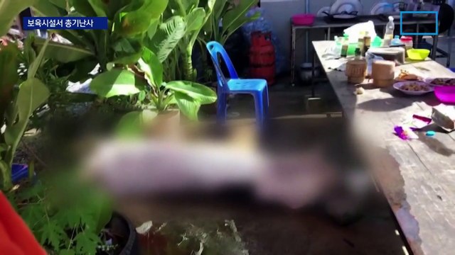 태국 보육시설서 총기난사…최소 34명 숨져