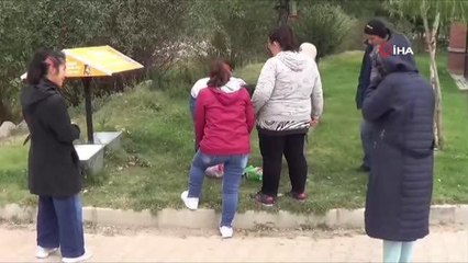 Sokak hayvanlarına önce mama bıraktılar sonra sevdiler