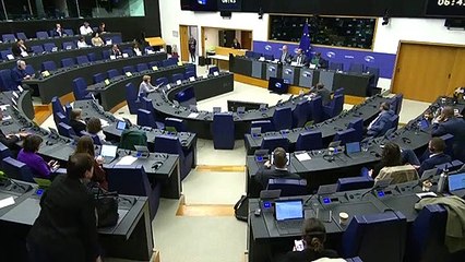 Jordi Cañas, a la comissió d'investigació de Pegasus