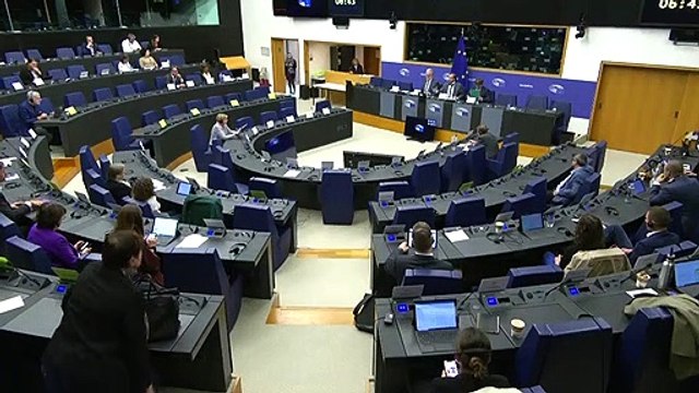 Jordi Cañas, a la comissió d'investigació de Pegasus