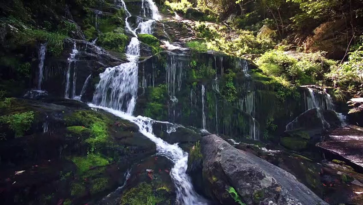Beautiful Waterfall