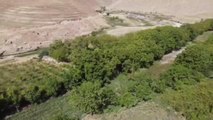 Bitlis gündem haberi: İri taneli Adilcevaz cevizinin hasadına başlandı