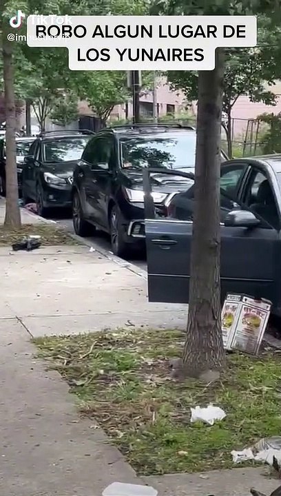New York: Des voyous ont fracturés toutes les voitures dans cette rue