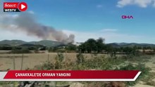 Çanakkale'de orman yangını