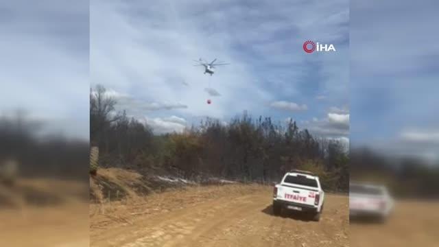 Tekirdağ haberleri... Tekirdağ'da orman yangını söndürüldü