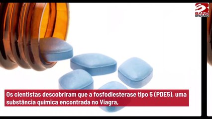 Cientistas revelam que Viagra pode auxiliar no tratamento contra o câncer