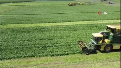 Emsal karar ile çiftçi iptal edilen prim günleri geri alacak