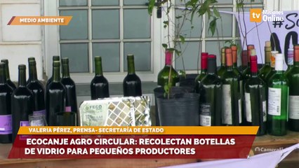 Ecocanje agro circular: recolectan botellas de vidrio para pequeños productores