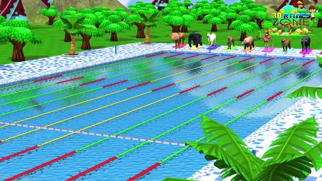 Counting Numbers Zoo Animals Swimming Race Fun Play Video