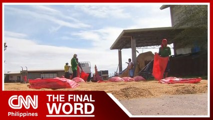 Farmers' group decries falling palay prices