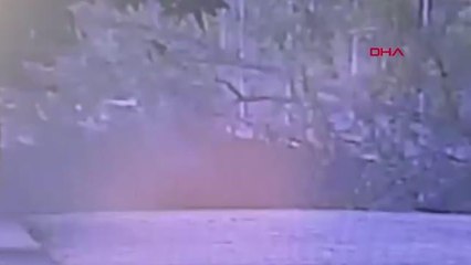 Son Dakika | AĞACIN YOLA DEVRİLDİĞİ AN ARAÇ KAMERASINDA