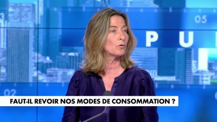 Céline Pina : «C’est particulièrement mesquin, à la fois de ne pas assumer ses responsabilités, de les reporter sur ceux qui en sont les premières victimes et surtout de n’annoncer aucun plan pérenne pour l’avenir»