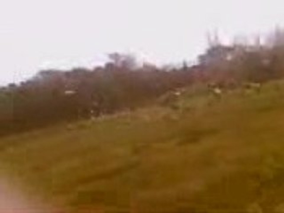Vidéo035
