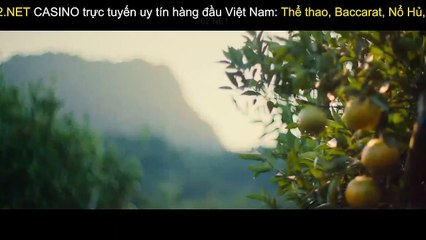 13 Người Sống Sót- Cuộc Giải Cứu Trong Hang Ở Thái Lan