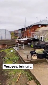 Ce corbeau aide un bricoleur... utile l'oiseau