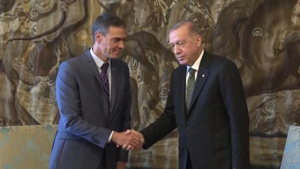 Cumhurbaşkanı Erdoğan, Prag'da İspanya Başbakanı Sanchez'i kabul etti