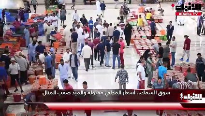 سوق السمك.. أسعار المحلي مقبولة والميد صعب المنال