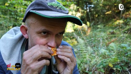 SI ON PARLAIT - 06/10/22 - Champignons, Théâtre en Rond, Sirènes
