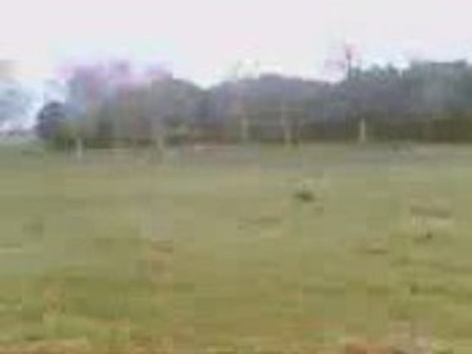 Vidéo036