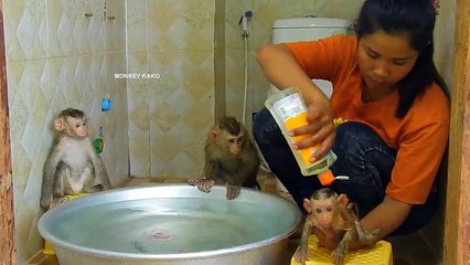 Baby Luna Looking Smart Kako Swimming While Tiny Nina Take Bathed