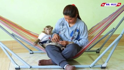 Mr. Kako Sleep Well While Mom Grooming For Him