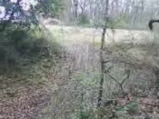 vidéo YZ BUD racing