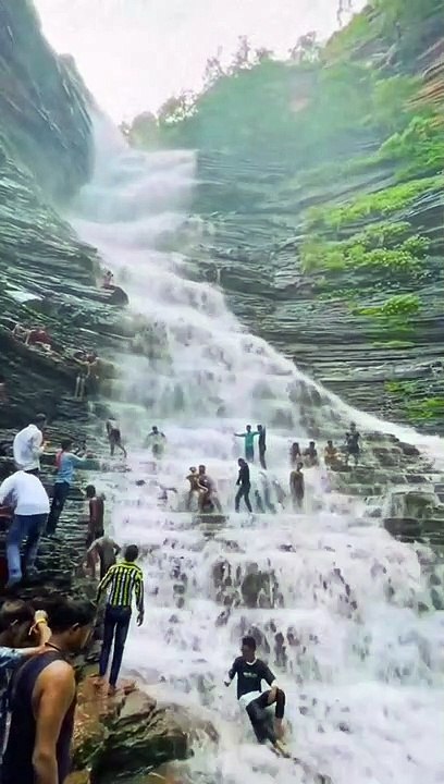 Amazing Nature