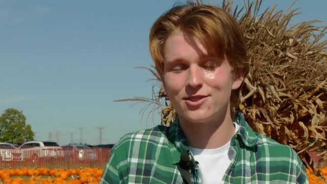 Comienza la temporada de calabazas en Estados Unidos