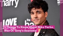 5 Things To Know About Niko Terho, Star Of  Grey's Anatomy