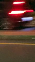 Saving Little Skunk with the Trash Helmet