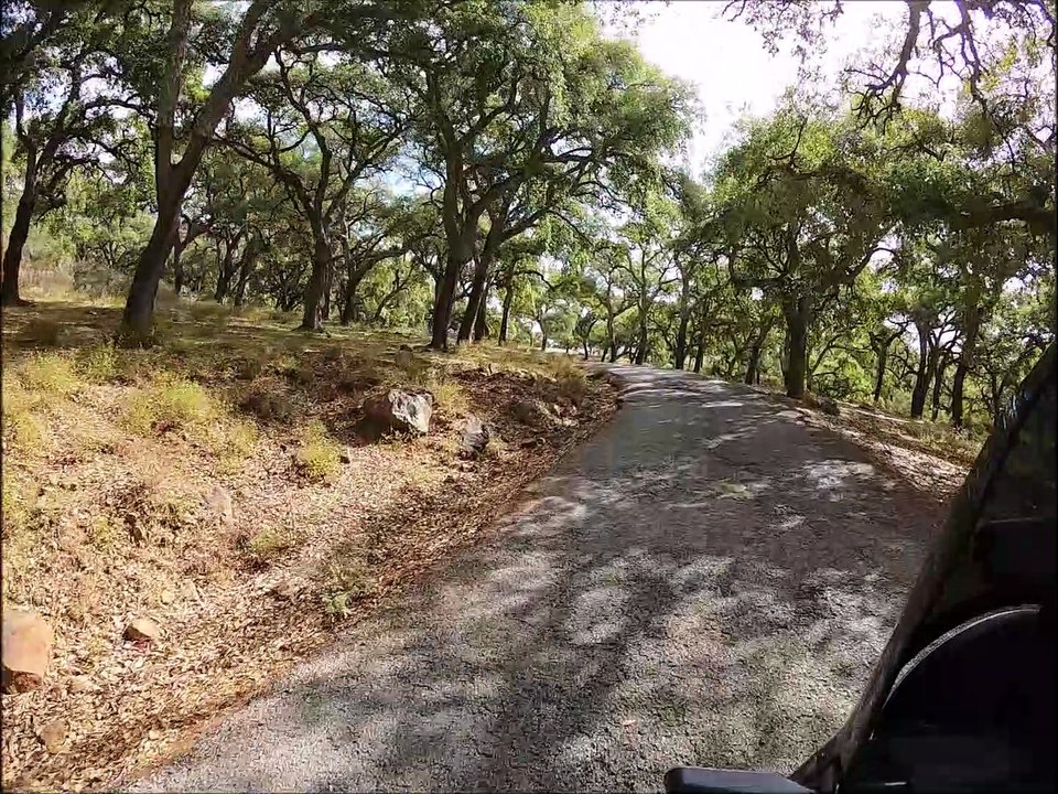 Serrania De Ronda (3)