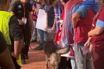 Fransız polisinden, Trabzonspor taraftarlarına tepki çeken arama
