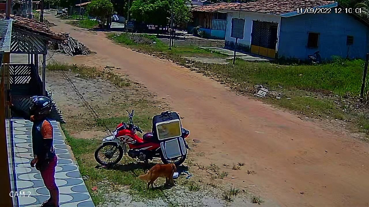 Delivery Driver Confused By Disappearing Food