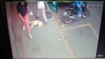 Câmera de segurança flagra homem chutando um cachorro