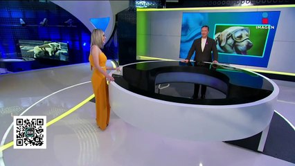 Pasó del antojo de un pan a ser dueña de un concepto de pastelería