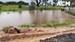 Central Victorian flooding | October 7, 2022 | Bendigo Advertiser