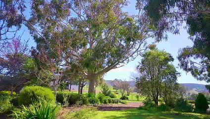 Avonlea, Panuara, NSW - October 7, 2022 - Farmonline