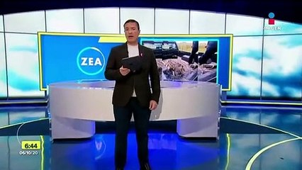 Cazan y cocinan a un cocodrilo moreletti en Michoacán