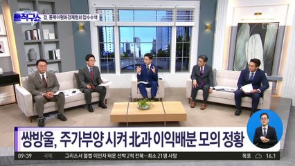 쌍방울, 주가 부양 시켜 北과 이익배분 모의 정황