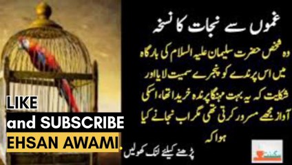 Bird's complaint to Hazrat Sulaiman, پرندے کی حضرت سلیمان سے شکایت  #islamicspeech #islam #muslim