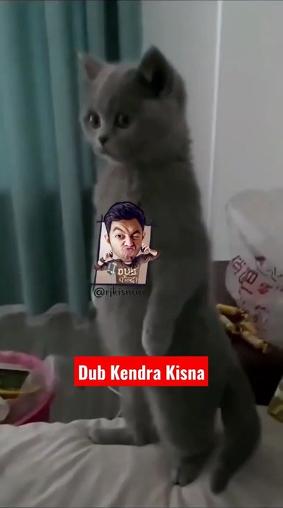 Crimsy ft. Mere Uss Pe Thand - dub Kendra Kisna Dub केंद्र! #youtubeshorts #shorts #funnyvideos