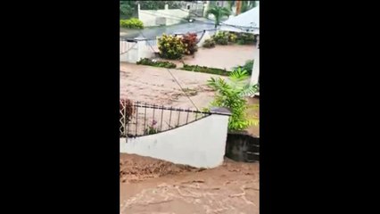 GOV'T HOPES LYNCH IS FOUND ALIVE