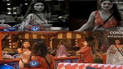 Bigg Boss 16 ; Sreejita Manya के झगड़े में पड़ना भारी पड़ेगा Priyanka Chahar Choudharyको? | *TV