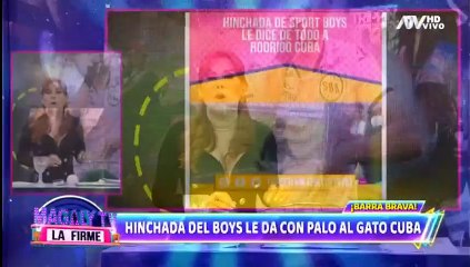 Gato Cuba separado del equipo