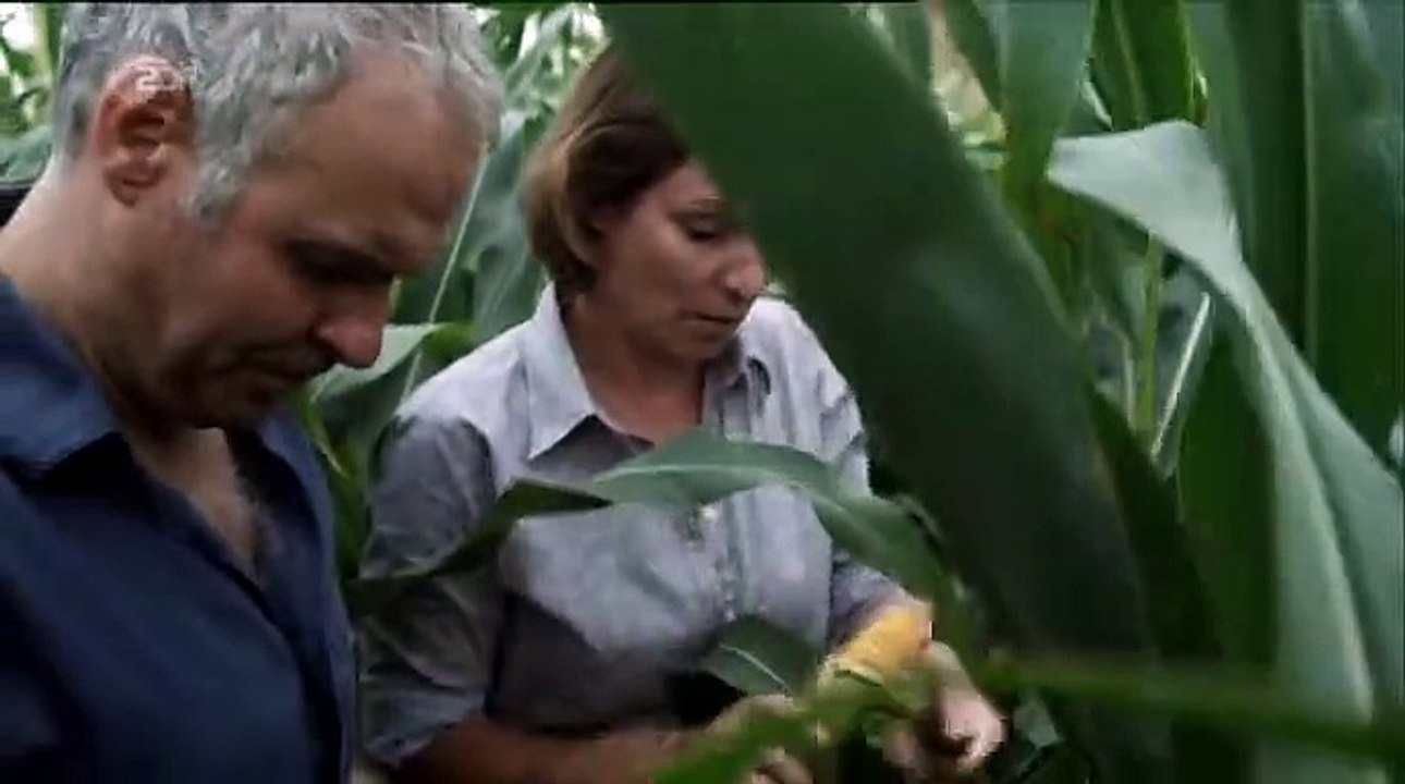 SOKO Köln Staffel 8 Folge 11 HD Deutsch