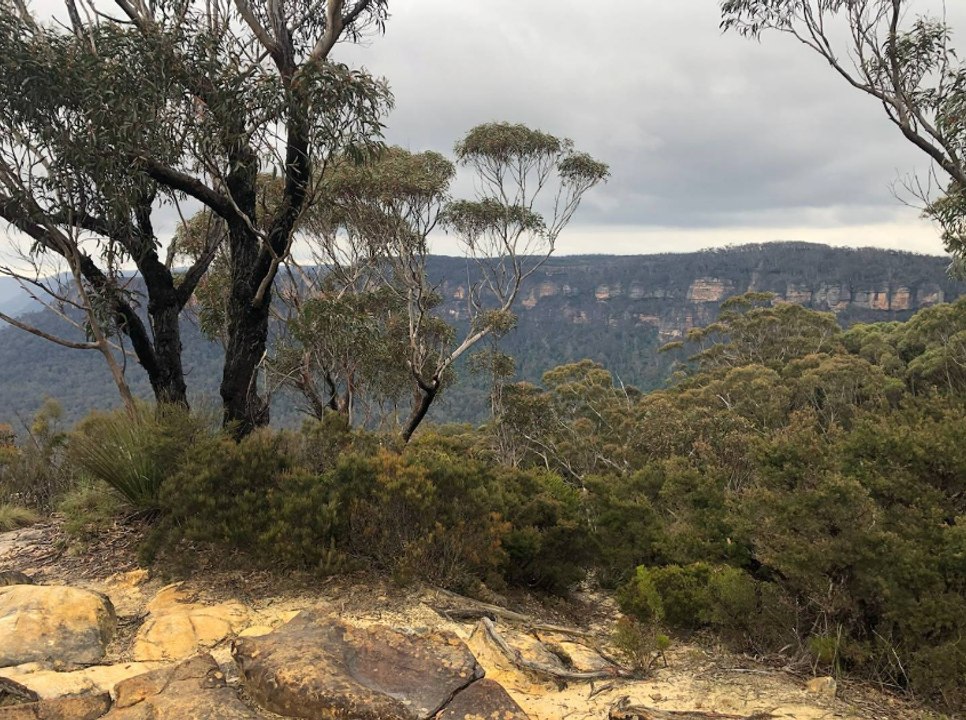 Abseiling death at Katoomba Cliffs , NSW - October 7, 2022 - Blue Mountains Gazette