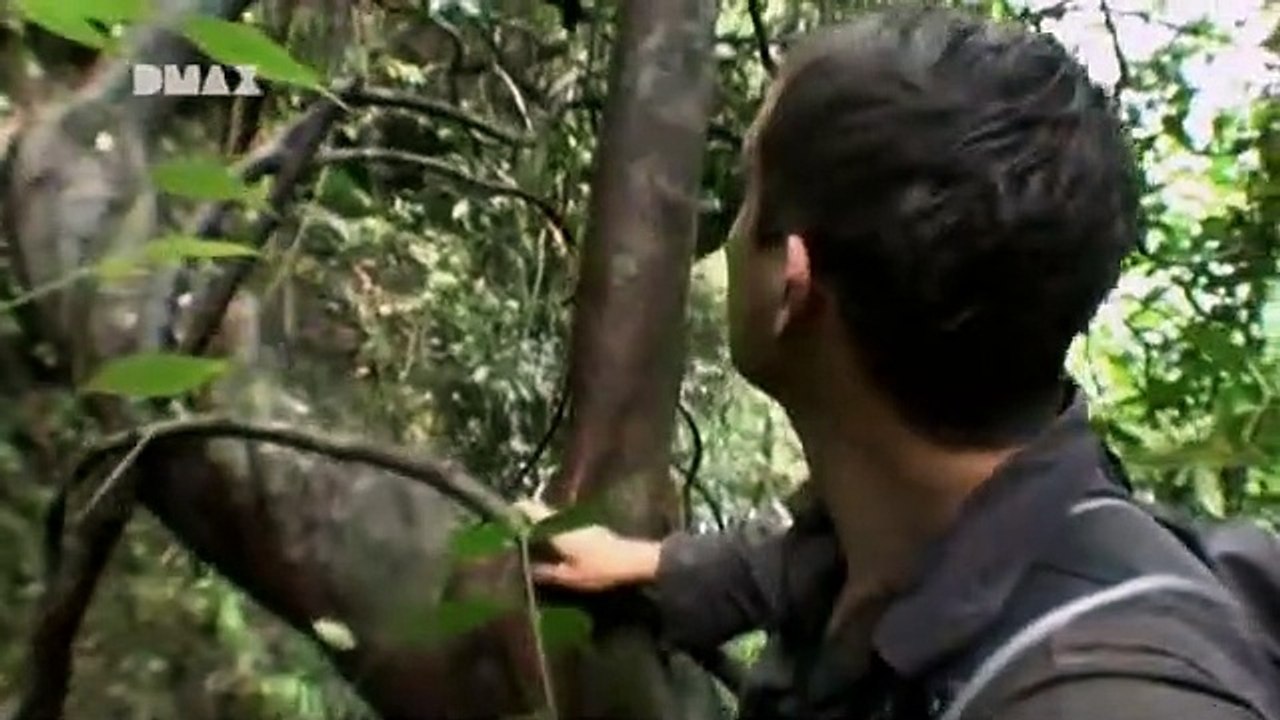 Abenteuer Survival Staffel 5 Folge 8 HD Deutsch