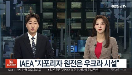 IAEA "자포리자 원전은 우크라 시설"…푸틴 '국유화'에 반대
