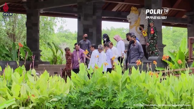 Presiden Jokowi Tinjau Tahura Ngurah Rai