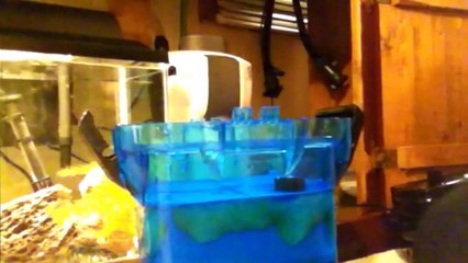 Penn Plax Cascade 700 Tear Down